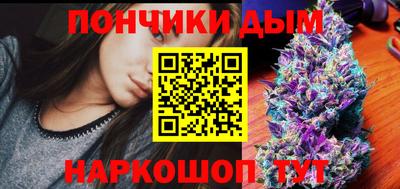 сатива Лесосибирск