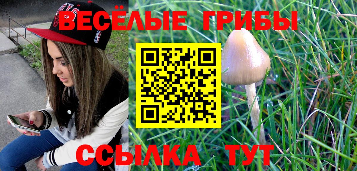 Галлюциногенные грибы Magic Shrooms  Вход с VPN  Гудермес 